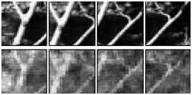 Image reconstruction from LGN, Garrett Stanley