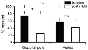 Bar graph reporting the percent of correct responses.