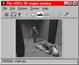 The vOICe window: would in reality remain hidden